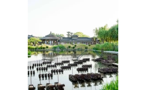 荆门拓展基地-荆门白马公园拓展训练基地